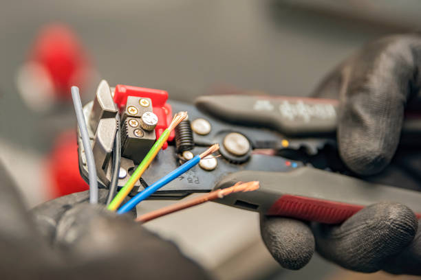 Best Home Electrical Repair  in Lanark, IL