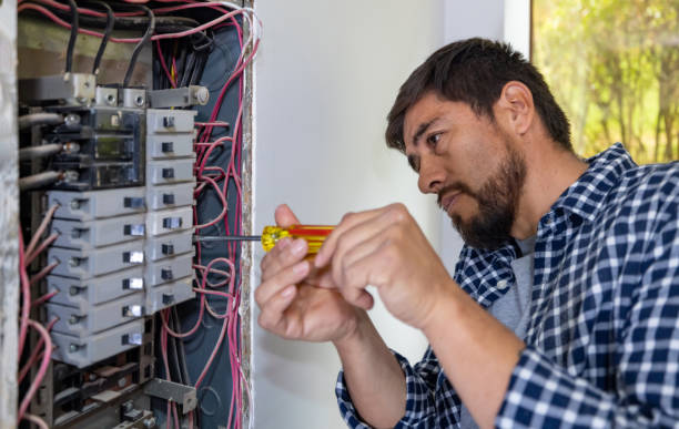 Best Electrical Troubleshooting Services  in Lanark, IL